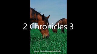 2 Chronicles 3 | KJV | Click Links In Video Details To Proceed to The Next Chapter/Book