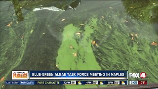 Blue Green Algae Task Force new recommendations expected