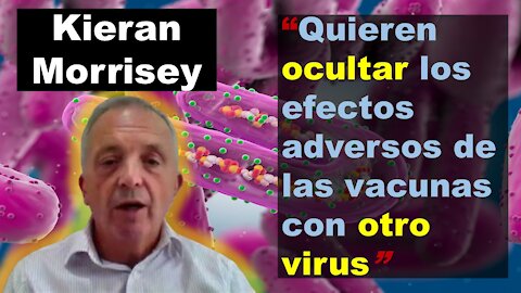 [SUBS ESÑ] Kieran Morrisay: la siguiente pandemia es el virus Marbug