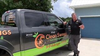 Businessman pivots from citrus to pest control