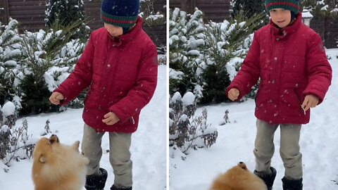Pomeranian playing with kid in snow