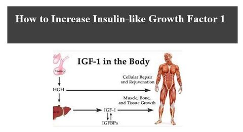 How to Naturally Increase IGF1 - Insulin Like Growth Factor 1