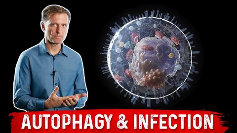 The Effects of Autophagy on Infection