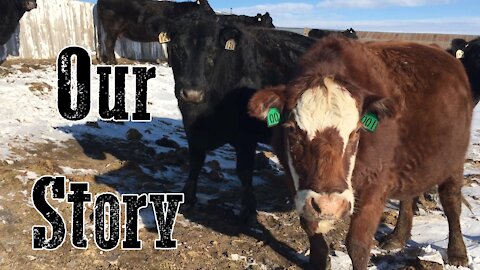 Our Story - The Story Of Our Wyoming Life