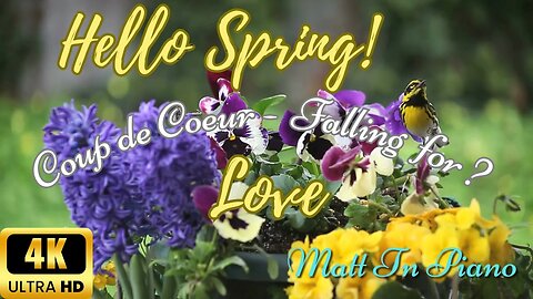 Hello Spring! Coup de Coeur - Falling for ? Love Maybe ??? #piano #lovesong #relaxingmusic #wedding