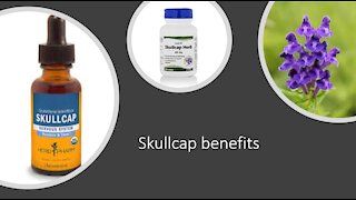 Skullcap Benefits