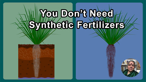 You Don't Need Synthetic Fertilizers If You Have Biodiversity In The Soil - Vandana Shiva, PhD