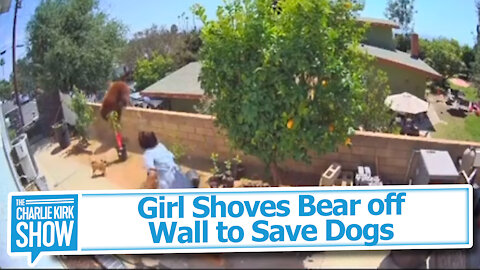 Girl Shoves Bear off Wall to Save Dogs