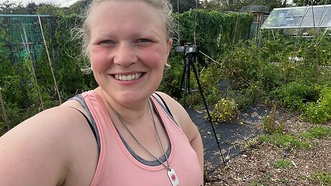 Allotment Harvest And Clear up: Goodbye SUMMER