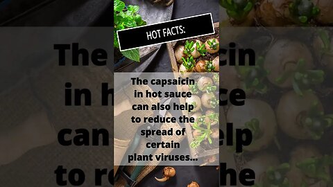 Hot Sauce Hacks: The Secret to Keeping Bugs Away From Your Plants #hacks