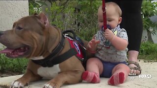 Veteran kicked out of hospital over service dog