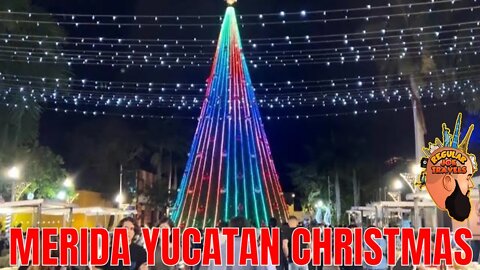 #shorts Christmas in Merida (Yucatán) Mexico. Now is the time to visit Mexico! Why aren’t you here?