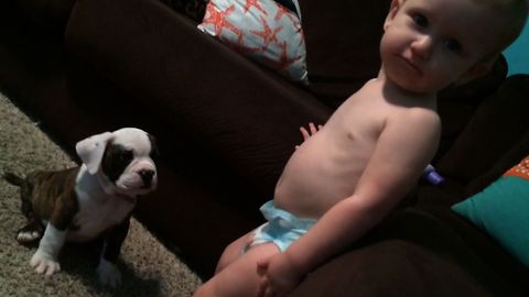 14 Cutest Babies With Dog Best Friends