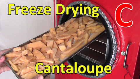 Freeze Drying Cantaloupe