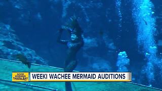 Hundreds to audition to fulfill little girls dream of becoming mermaid