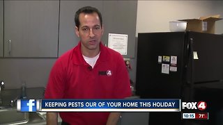 Pests could ruin holiday