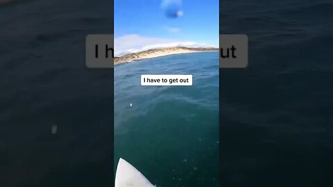 Surfer mistakes adorable dolphin for a shark attack 😆 #shorts #short #trending #shortsvideo