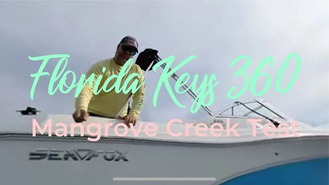 Testing my 360 Camera in the Florida Keys in 360 VR Mangrove Creek underwater video