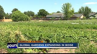 City of Boise making room for refugee gardens