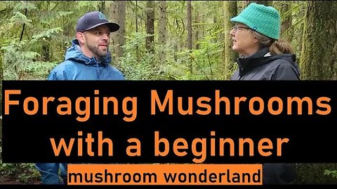 Foraging Mushrooms with a Beginner