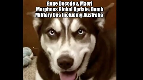 Gene Decode & Maori Morpheus Global Update: Dumb Military Ops Including Australia