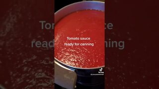 Tomato Sauce from Frozen Tomatoes