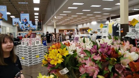 Hummingbird Inside the Store