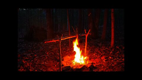 Appalachian Bushcraft: Survival Debris Hut Shelter and Camp. Primitive skills in Asheville, NC.