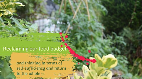Reclaiming our food budget and thinking in terms of self-sufficiency and return to the whole