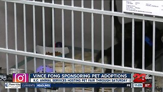 Vince Fong sponsors first 100 pet adoptions