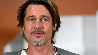 Hollywood Abuzz With Rumors That Brad Pitt Is Quitting Acting To Become Beekeepr