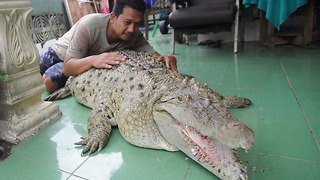 This Guy Has Adopted A Crocodile That Is Now A Member Of The Family