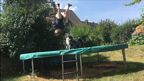 Australian Shepherd and owner having fun on a trampoline