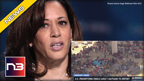 MSNBC Flips Script And Attacks Kamala For What She Did In Hiding During Border Crisis