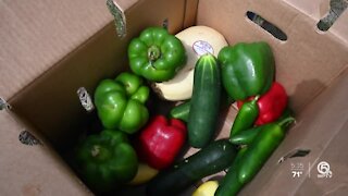 J&J Family of Farms relaunches $15 produce box distribution