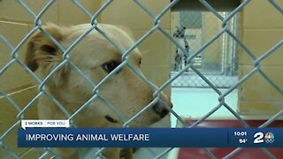 Plans for Tulsa Animal Welfare expansion part of new city budget