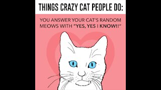 Things Crazy Cat People Do [GMG Originals]