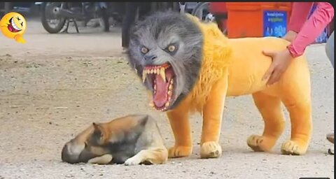 "Hilarious Encounter: Dog vs. Fake Lion Comedy Showdown!"