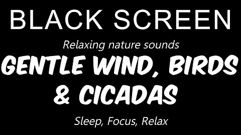 Gentle WIND, soothing BIRD SOUND and CICADAS | 10 Hours | Sleep, relax, focus