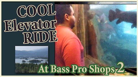 Autism and Elevator Ride at Bass Pro Shops Again