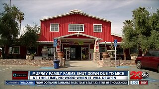 Murray Family Farms closes down due to rodent infestation