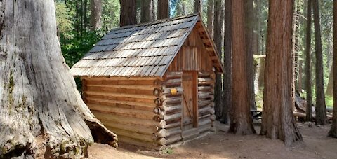 Nelder Grove - Big Tree Historical Area