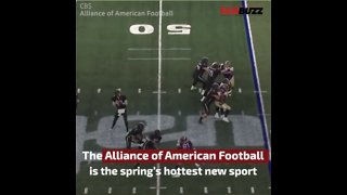 AAF's Highest Attendance Belongs to San Antonio, Proving Texas Football is King