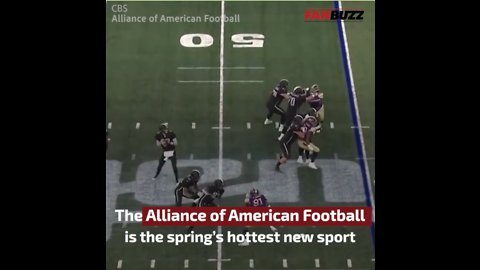 AAF's Highest Attendance Belongs to San Antonio, Proving Texas Football is King