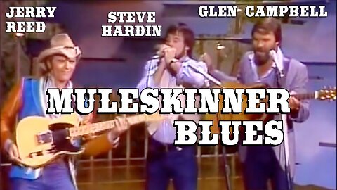 This Song Will Take Away Your Blues! - Mule Skinner Blues