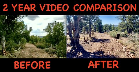 Before and After: 2 Years of Off-Grid Homestead Transformation - LOTS of Work But I Love The Results