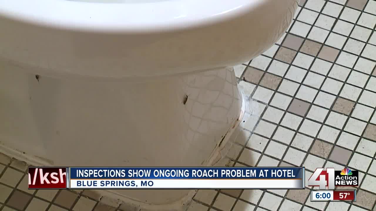 County inspection reports show ongoing roach problem at Blue Springs hotel