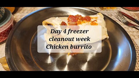 Day 4 Freezer clean out Chicken burrito #chicken #burrito