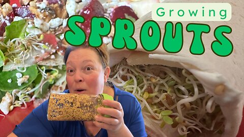 Let's Grow some Sprouts!
