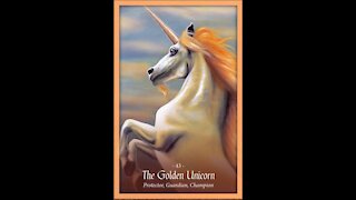 Taurus Oracle Reading From The Shadows Comes The Golden Unicorn